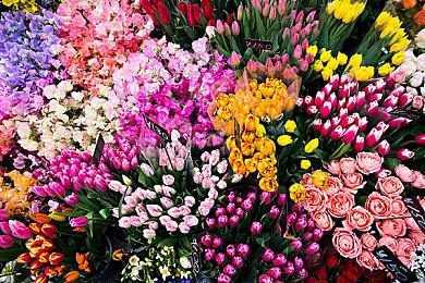 《小林家的龙女仆》游戏版两段全新实机演示分享