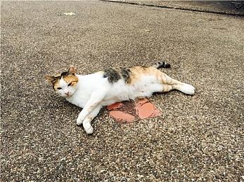 肉鸽动作游戏《深渊之影》抢先体验版发售 添加全新内容